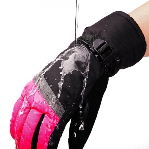 Ski Gloves